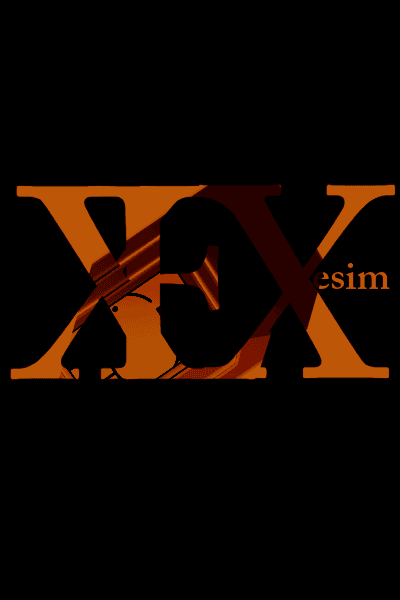 XEXesim logo